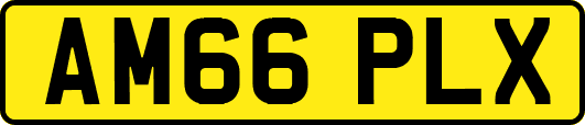 AM66PLX