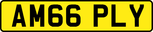 AM66PLY