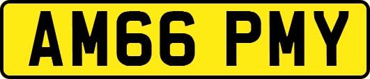 AM66PMY