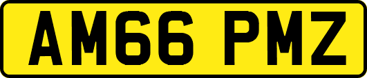 AM66PMZ