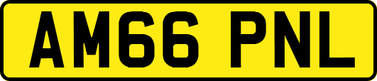 AM66PNL