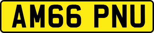 AM66PNU
