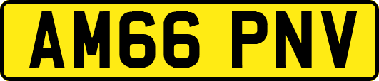 AM66PNV