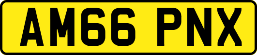AM66PNX
