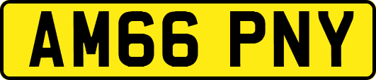 AM66PNY