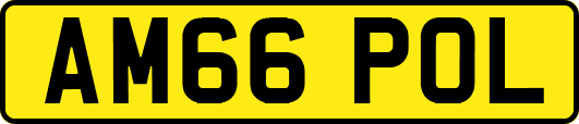 AM66POL