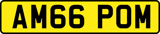 AM66POM