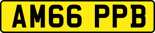 AM66PPB