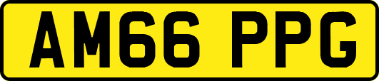 AM66PPG