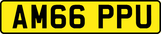 AM66PPU