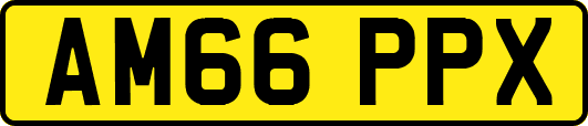 AM66PPX