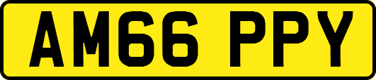 AM66PPY