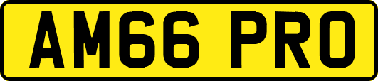 AM66PRO