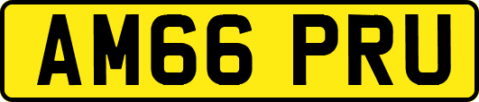 AM66PRU