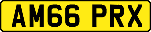 AM66PRX