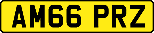 AM66PRZ