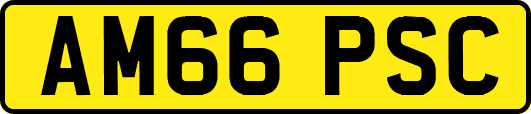 AM66PSC