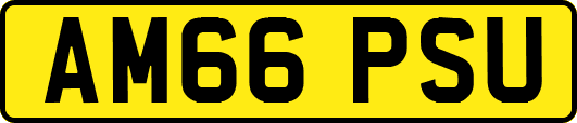 AM66PSU