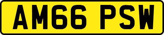 AM66PSW