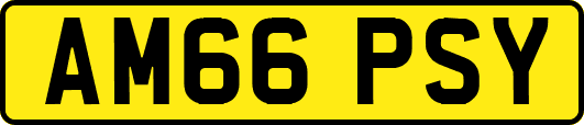 AM66PSY