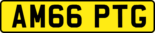 AM66PTG