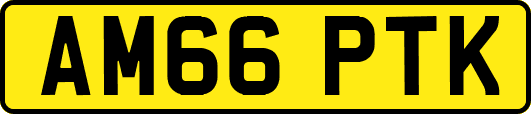 AM66PTK