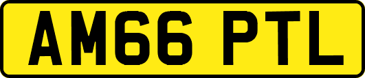 AM66PTL