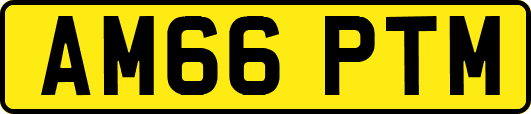 AM66PTM