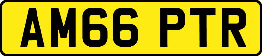 AM66PTR