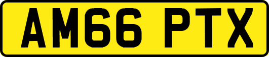 AM66PTX