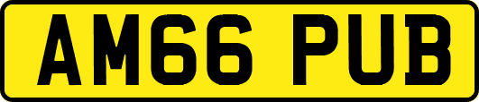 AM66PUB