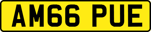 AM66PUE