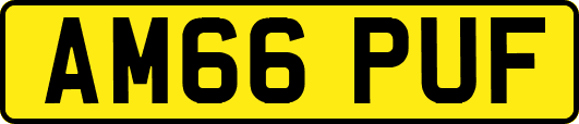 AM66PUF