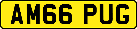 AM66PUG