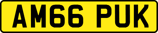AM66PUK