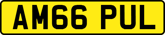 AM66PUL