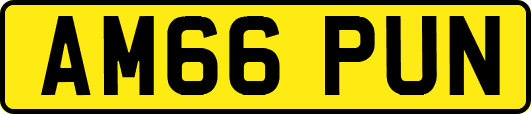 AM66PUN