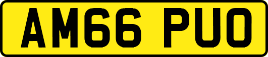 AM66PUO