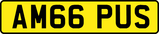 AM66PUS