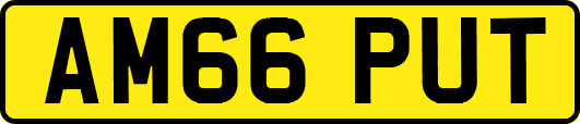 AM66PUT