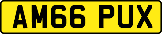 AM66PUX