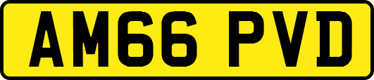 AM66PVD