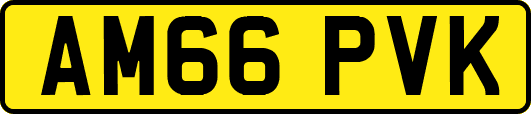 AM66PVK