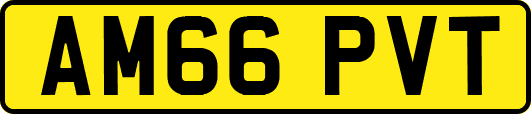 AM66PVT