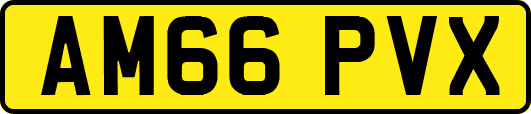 AM66PVX