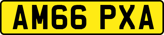 AM66PXA
