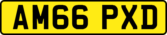 AM66PXD