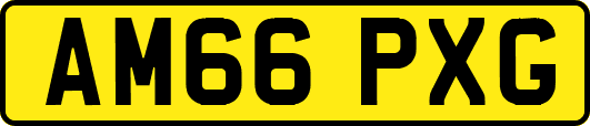 AM66PXG