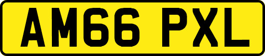 AM66PXL