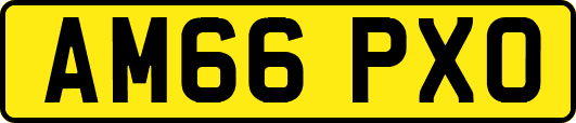 AM66PXO